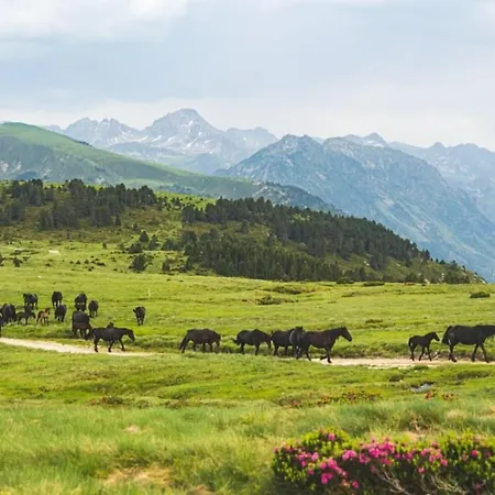 T2 Pour 4 - Centre Ax, Cure Et Telecabine * Ax-les-Thermes