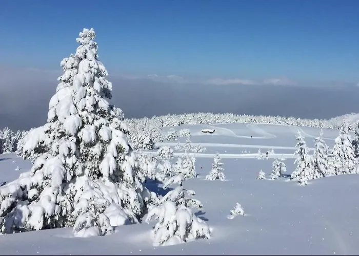 Apartament T2 Pour 4 - Centre Ax, Cure Et Telecabine Ax-les-Thermes