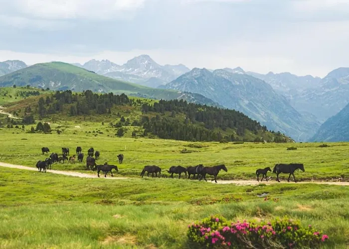 T2 Pour 4 - Centre Ax, Cure Et Telecabine * Ax-les-Thermes